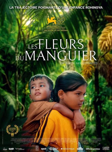 Film Les Fleurs du manguier - Film Les Fleurs du manguier