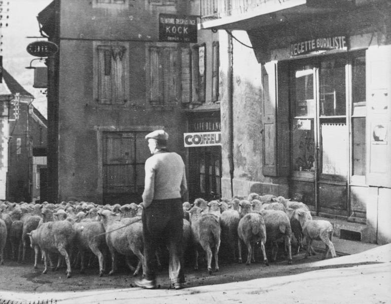 Visite guidée du circuit Vivian Maier de Saint-Bonnet - Visite guidée du circuit Vivian Maier de Saint-Bonnet