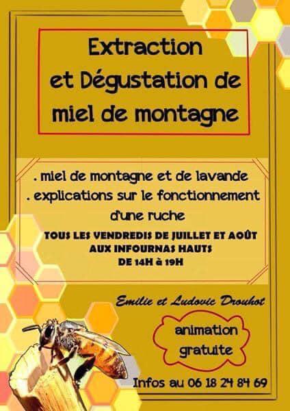 Extraction et dégustation de miel de montagne - Ferme Drouhot_Saint-Bonnet-en-Champsaur