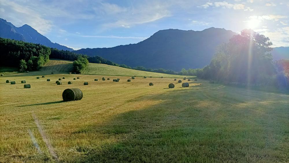 GAEC du Banc du Peyron - GAEC du Banc du Peyron