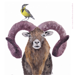 Exposition sous les halles_Saint-Bonnet-en-Champsaur - expo st BO