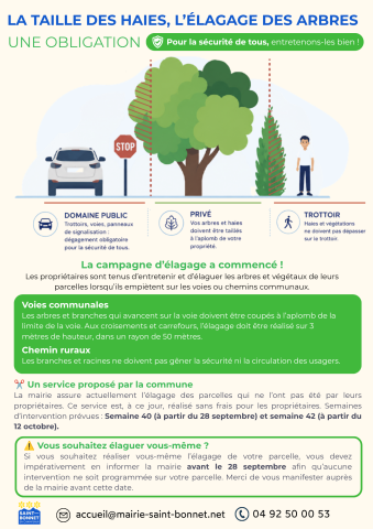 Taille des haies et élagage des arbres