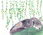 Les animaux d'ici - Les animaux d'ici Les animaux d'ici - Les animaux d'ici