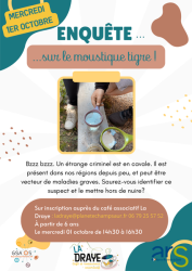 Enquête moustique - Enquête moustique
