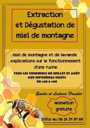 Extraction et dégustation de miel de montagne - Ferme Drouhot_Saint-Bonnet-en-Champsaur