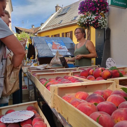 Marché de Saint-Bonnet-en-Champsaur