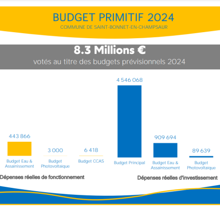 Budget primitif p1
